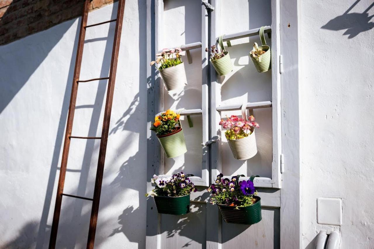 Hotel Rozmaring Vendeghaz Zengővárkony Exteriér fotografie
