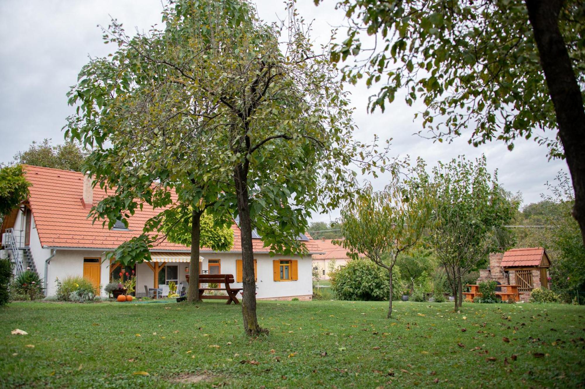 Hotel Rozmaring Vendeghaz Zengővárkony Exteriér fotografie