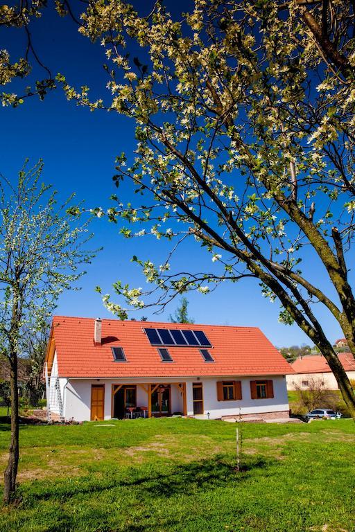 Hotel Rozmaring Vendeghaz Zengővárkony Exteriér fotografie